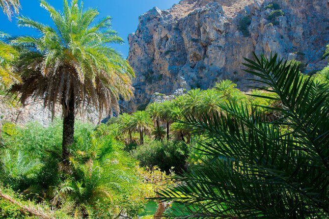 Preveli Palm Beach Boat Cruise & Rethymnon Town from Heraklion - Final Thoughts