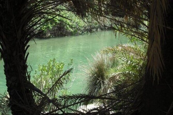 Preveli palm Beach & Damnoni Excursion - The Experience in Detail