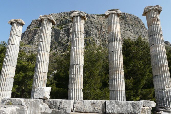 Priene Miletos Didyma (PMD) Tour From Kusadasi Port / Hotels - The Included Lunch and Its Value