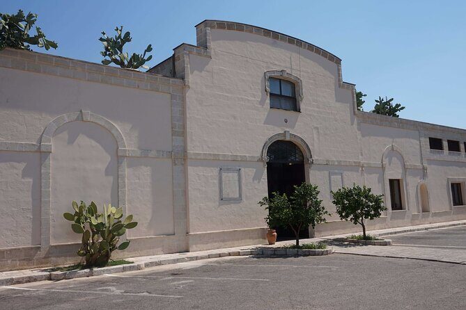 Primitivo and Negroamaro wine tour: a visit to two wineries and typical lunch. From Lecce - Key Points