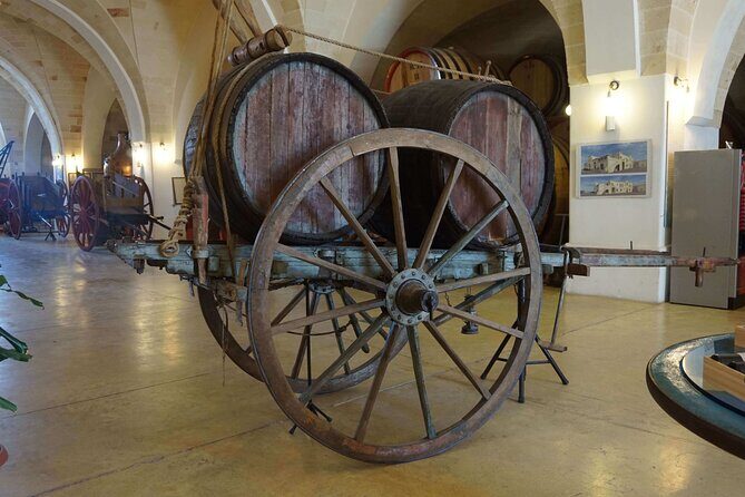 Primitivo and Negroamaro wine tour: a visit to two wineries and typical lunch. From Lecce - The Value of This Tour