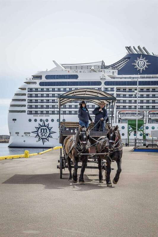 Prince Edward Island: Horse-Drawn Carriage Tour - A Deep Dive Into the Horse-Drawn Carriage Tour Experience