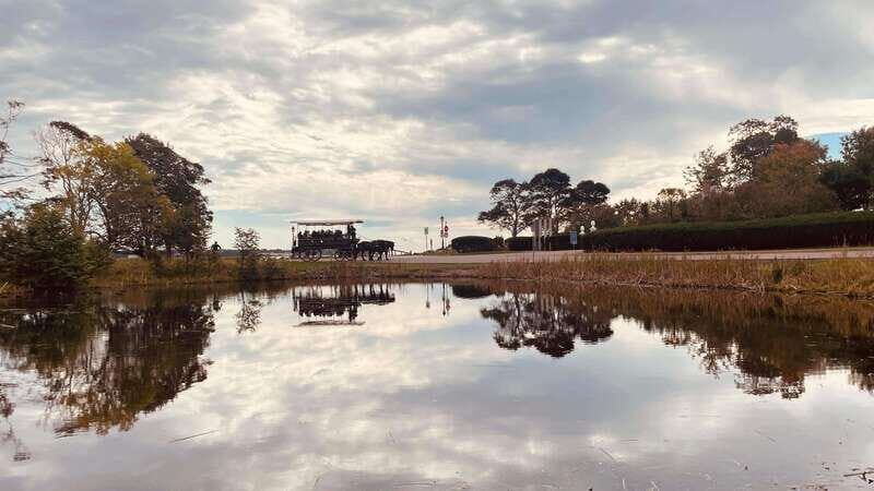 Prince Edward Island: Horse-Drawn Carriage Tour - FAQs