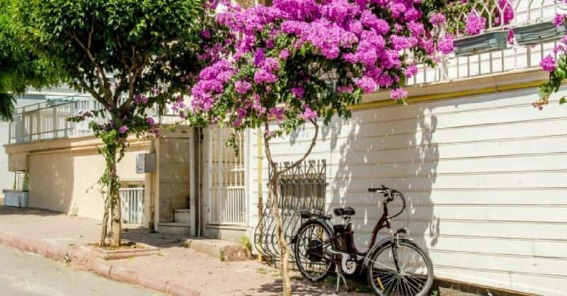 Prince's Island Group Tour - Key Points