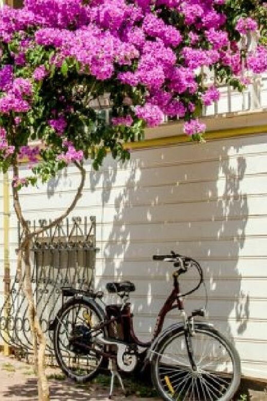 Prince's Island Group Tour - An In-Depth Look at the Tour Experience