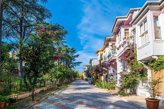 Princess Island Tour Full Day with Lunch - Exploring the Princess Island Tour Full Day with Lunch: A Practical Guide