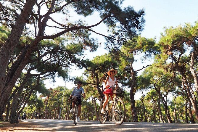 Princess Island Tour Full Day with Lunch - Who Will Love This Tour?