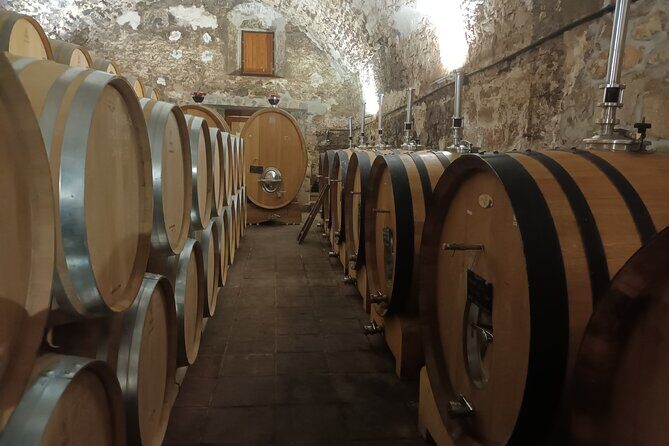 PRIORAT MEDIEVAL PRIORAT Full Day Tour Siurana and Escala Dei - Final Thoughts