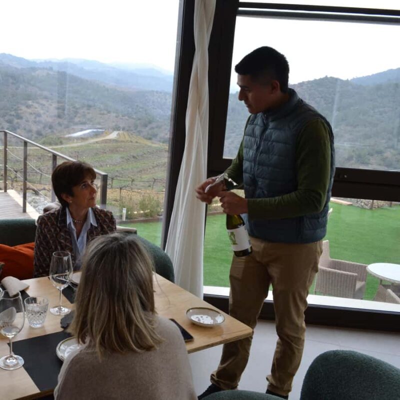 Priorat: Natural Wine Tour in Gratallops - An Honest Look at the Priorat Natural Wine Tour