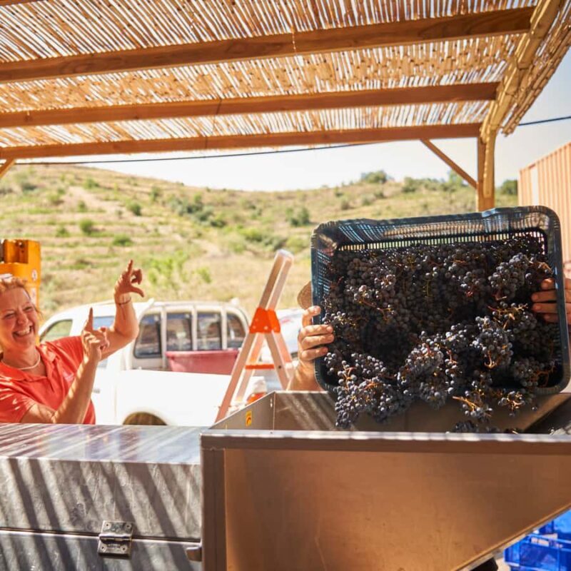 Priorat: Natural Wine Tour in Gratallops - Final Thoughts