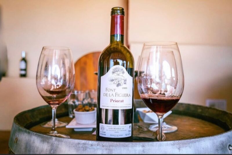 Priorat tour to 3 small wineries and hotel pick-up - Final Stop: Devinssi Winery