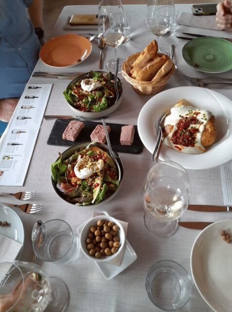 Priorat tour to 3 small wineries and hotel pick-up - Who Will Love This Tour?