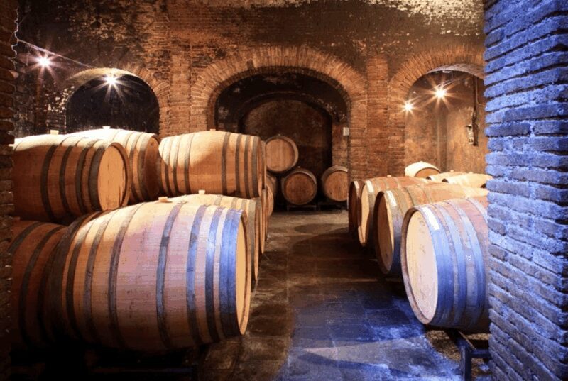 Priorat tour to 3 small wineries and hotel pick-up - The Sum Up