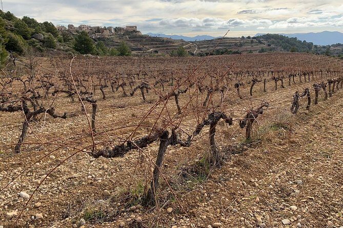 Priorat Wineries Tour with Wine Tastings & Lunch from Barcelona - Practical Details