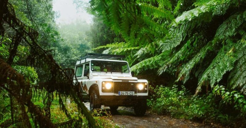 Priv. East: 4x4 Tour|Pico do Areeiro|Santana Typical Houses| - Practical Details and What to Expect