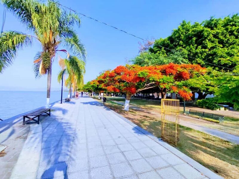 Privado: Rancho Vicente Fdez, Ajijic, Chapala y Tlaquepaque - A Closer Look at the Itinerary