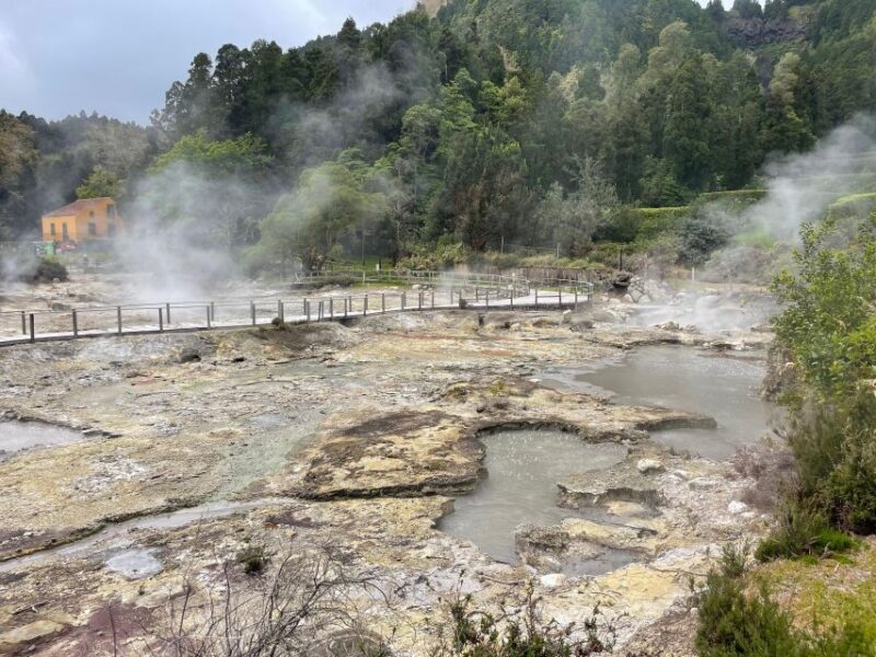 Privat van tour Furnas valley, Gorreana tea  islands gems - What You’ll Get and What You Might Want to Budget For