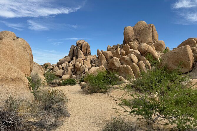 Private 1 Day Tour to Joshua Tree National Park - An In-Depth Look at the Experience