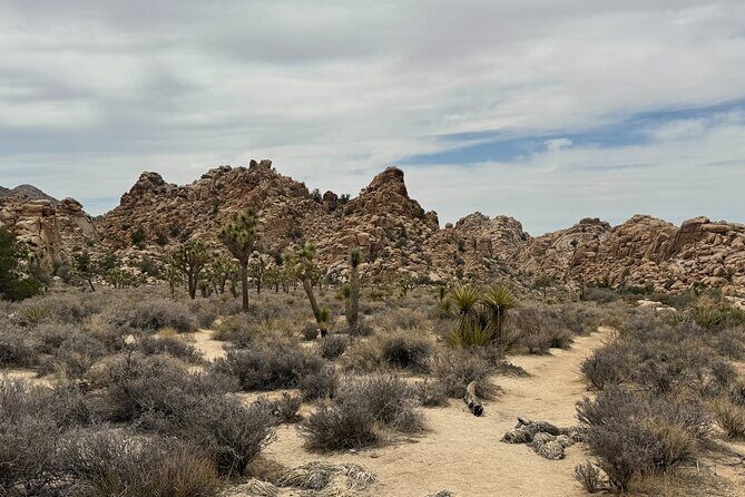 Private 1 Day Tour to Joshua Tree National Park - FAQ
