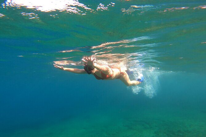 Private 1-Hour Guided Snorkeling Adventure with Go Pro Pictures - Key Points