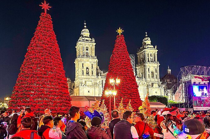 Private 10 Days Luxury Mexico Honeymoon All Inclusive - Who Will Love This Tour?