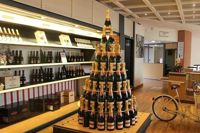 Private 10-hour round transfer to Champagne Epernay from Paris. Best offer! - What to Expect from the Tour