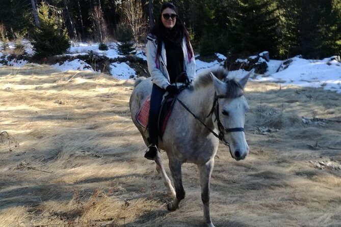 Private 2-Day Horseback Riding in Rhodope Mountains from Plovdiv - Exploring the Rhodope Mountains on Horseback: A Travel Review
