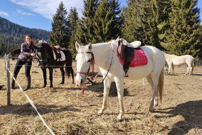 Private 2-Day Horseback Riding in Rhodope Mountains from Plovdiv - FAQs