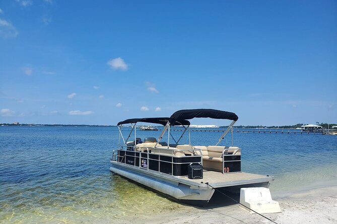 Private 2-Hour Dolphin and Sightseeing Tour - Who Should Consider This Tour?