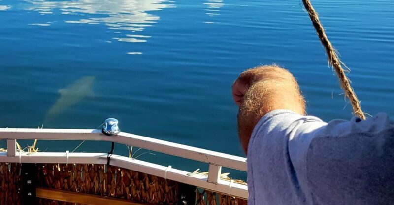 Private 2 hour Dolphin Sightseeing tour- Melbourne - The Details of the Tour