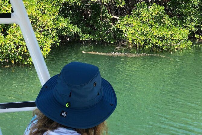 Private 2 hour Mangrove Ecotour - Final Thoughts