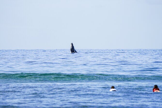 Private 2 hour Surf Lessons with Experienced Coaches - Why Choose This Maui Surf Lesson?