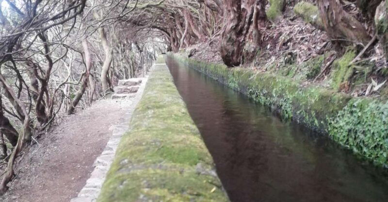 Private - 25 Fontes and Risco Waterfall Guided Tour - The Basics of the Tour