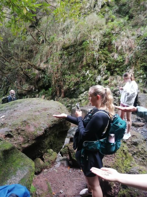 Private - 25 Fontes and Risco Waterfall Guided Tour - The Highlights in Detail