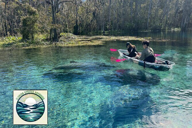 Private 2Hour Clear Kayak/ROC Paddle Board Rental on Silver River - Equipment and Comfort