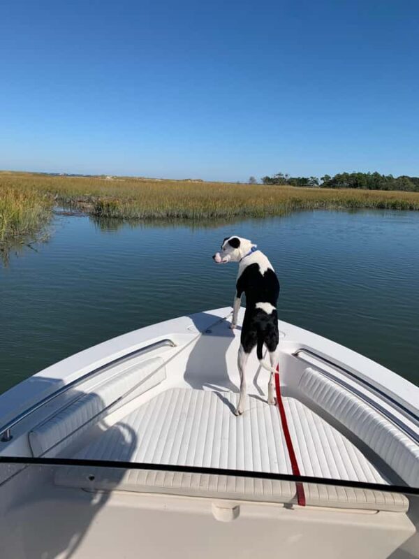 PRIVATE 2HR DOLPHIN CRUISE - FAQs