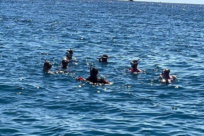 Private 3.5 hr Snorkel Charter in Waikiki - A Deep Dive Into the Experience