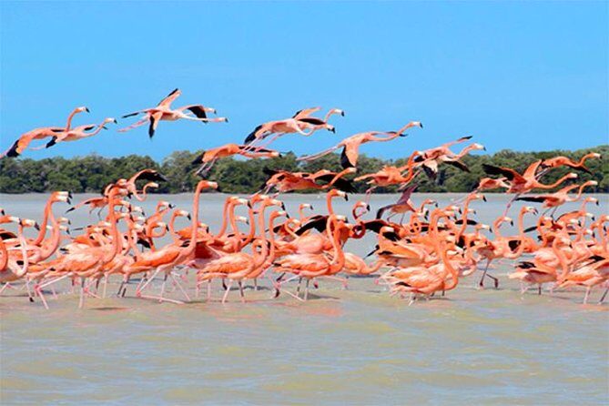 Private 3-Day Yucatan Sightseeing Tour from Playa del Carmen - Key Points