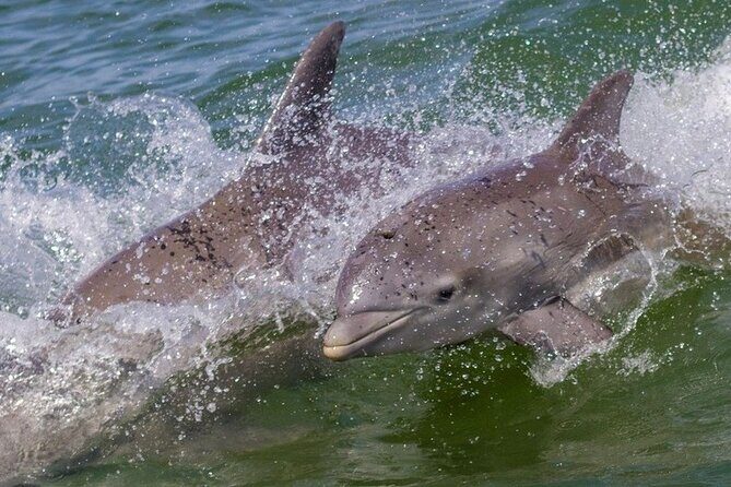 Private 3 hour Charter and Sandbar in Islamorada - FAQ
