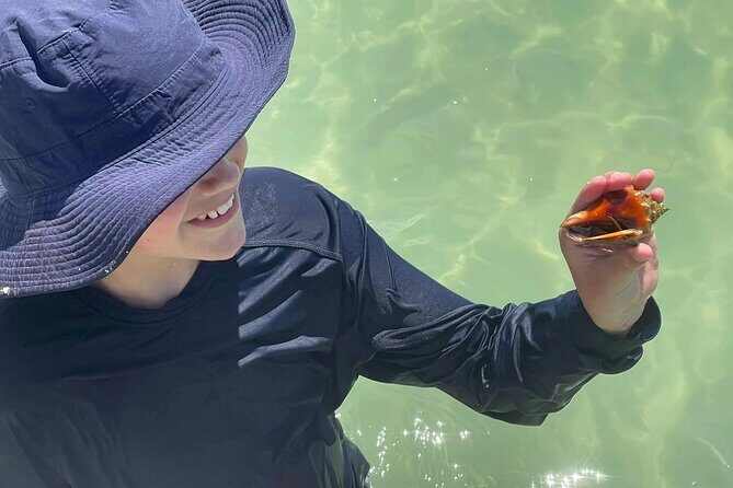 Private 3-Hour Eco Tour with Island Hopping in St. Petersburg, FL - What to Expect from the Private Eco Tour