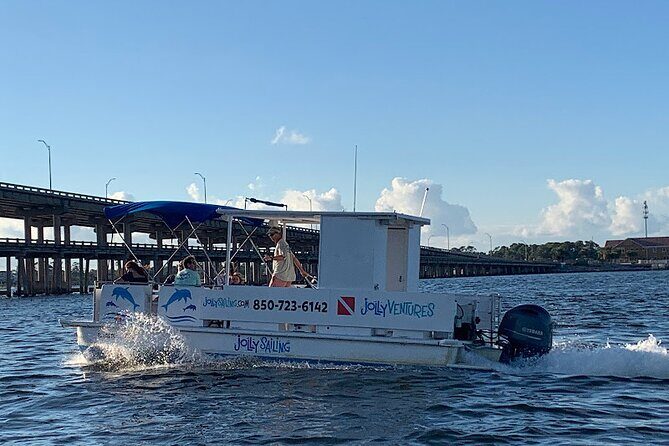 Private 3 Hour Powerboat Dolphin Cruise with Remote Beach Stop up to 6 guests - Wildlife Encounters: What Really Stands Out