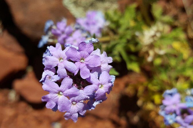 Private 3-Hour Sedona Metaphysical Photography Tour - FAQs