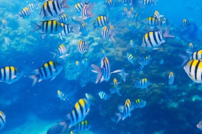 Private 3-Hour Snorkeling Tour with Arch Tour and Beach Time - The Nitty-Gritty of the Tour