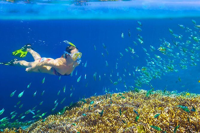 Private 3-Hour Snorkeling Tour with Arch Tour and Beach Time - Practical Tips