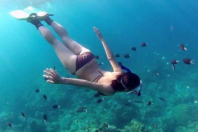 Private 3-Hour Snorkeling Tour with Arch Tour and Beach Time - FAQ