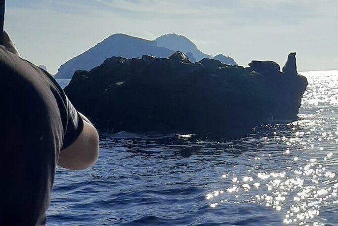 Private 3-hour Whale Watching Activity in Mazatlan - What Past Travelers Have Said