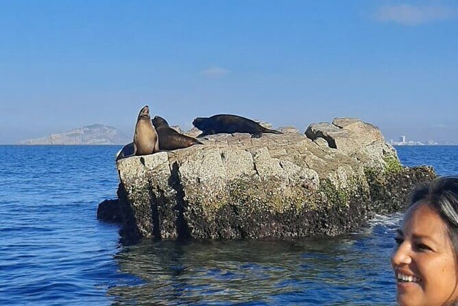 Private 3-hour Whale Watching Activity in Mazatlan - Is this tour worth it?