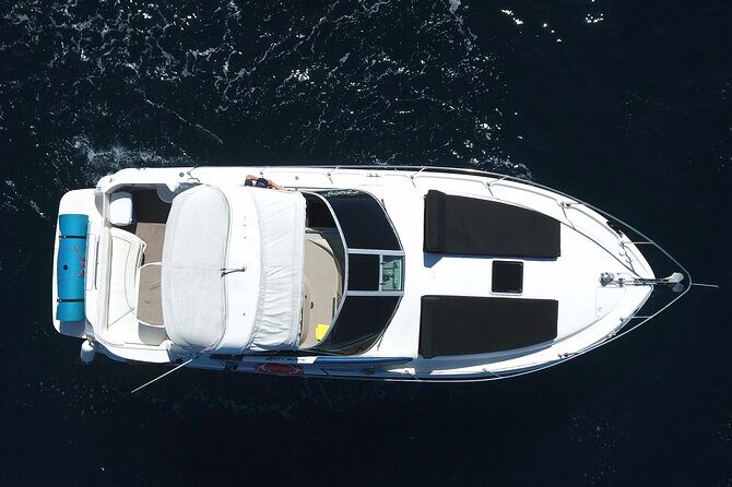 Private 3hr Yacht Cruise in Cabo San Lucas all included - Who Will Love This Tour?