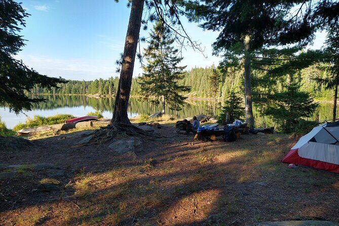 Private 4 Day Algonquin Park Backcountry Canoe Trip - The Experience Breakdown: What You Can Expect from the Trip