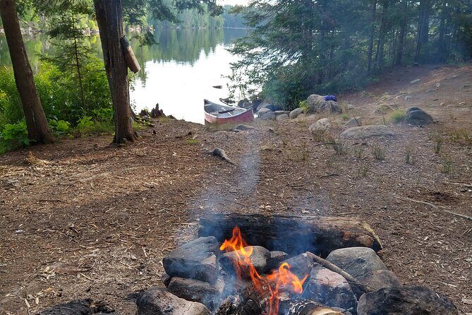Private 4 Day Algonquin Park Backcountry Canoe Trip - Real Talk: What Do the Reviews Say?